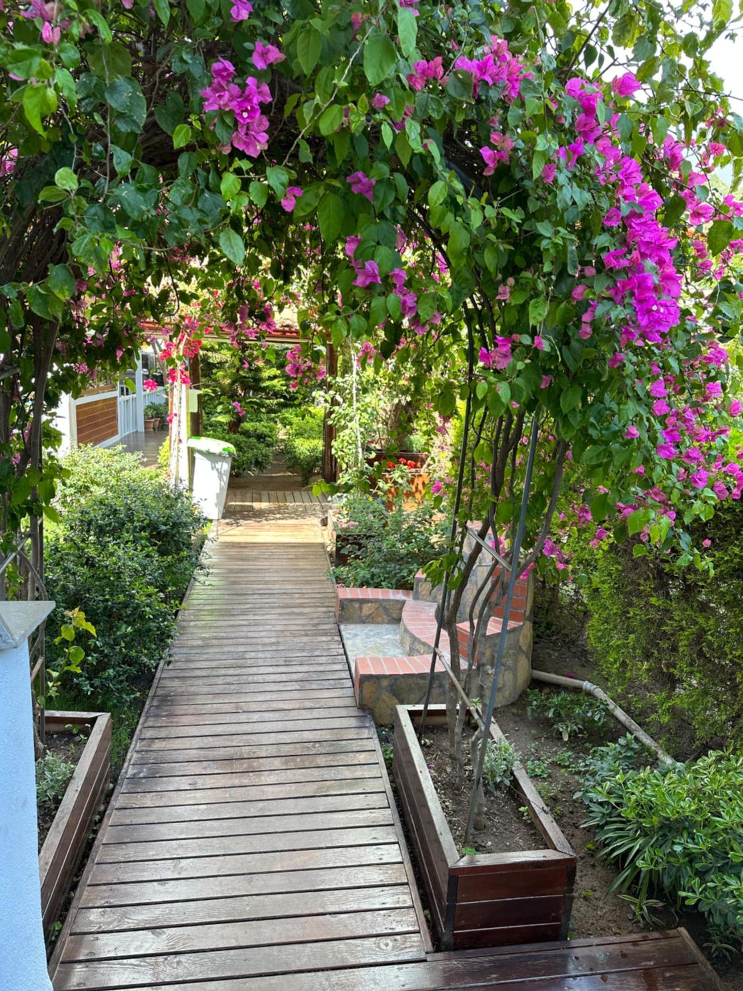 Palm Konak Hotel Çıralı Luaran gambar